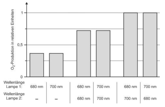 Balkendiagramm zur O₂-Produktion in Abhängigkeit von den Wellenlängen zweier Lampen.